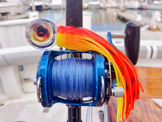 Ojo de Calamar "Tigrillo"