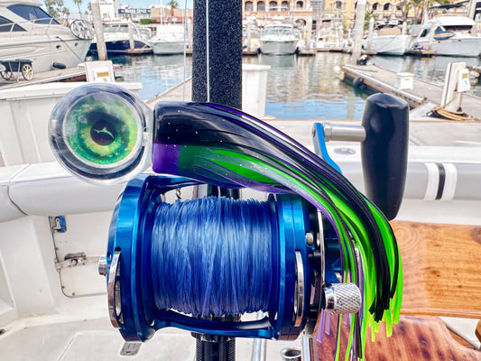 Ojo de Calamar "Bulito"